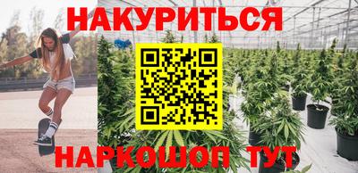 дмт Будённовск