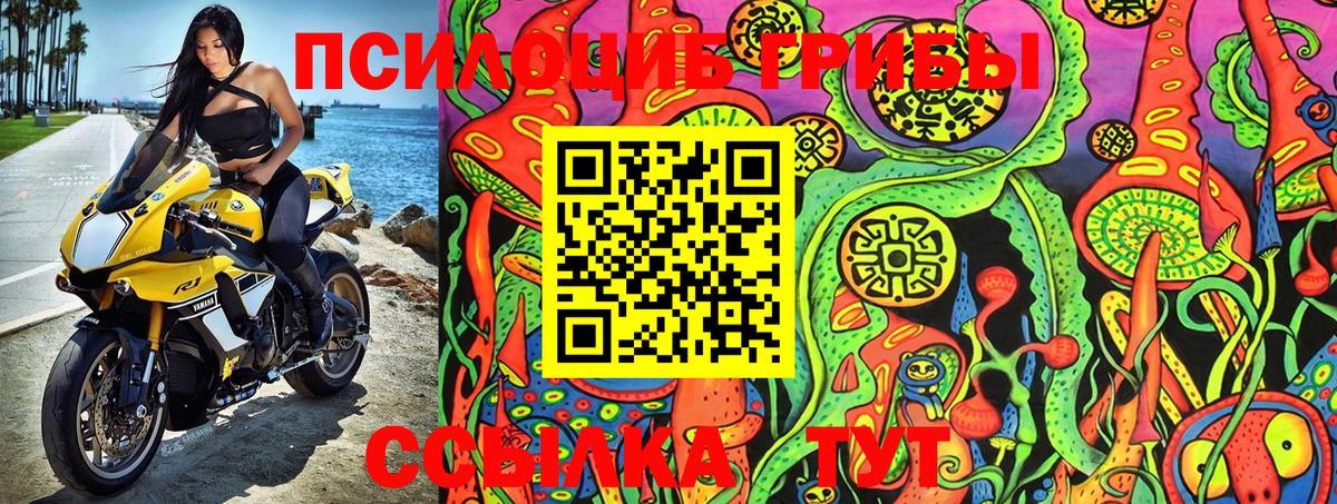 Псилоцибиновые грибы Magic Shrooms Тельмана