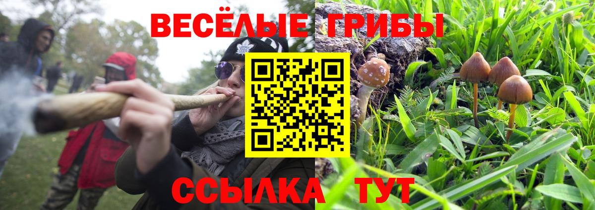 Псилоцибиновые грибы Cubensis  Псилоцибиновые грибы мицелий  Тельмана  Вход с VPN 